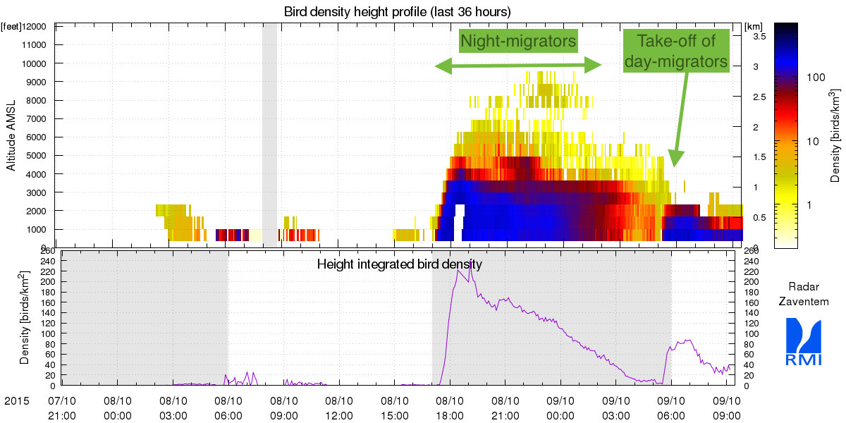 Figuur 2: Dezelfde inhoud als deze van figuur 1 maar voor de radar van Zaventem. In deze regio trekken de vogels duidelijk lager bij het aardoppervlak.